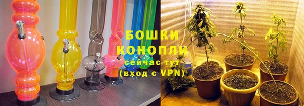 крисы Беломорск