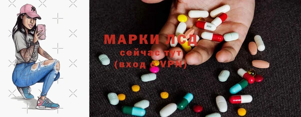 ПСИЛОЦИБИНОВЫЕ ГРИБЫ Белоозёрский