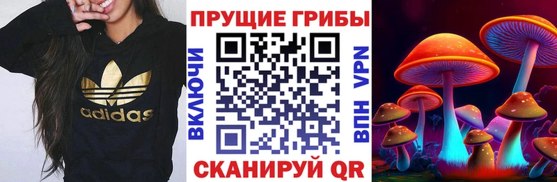 Псилоцибиновые грибы Psilocybe Верхний Уфалей