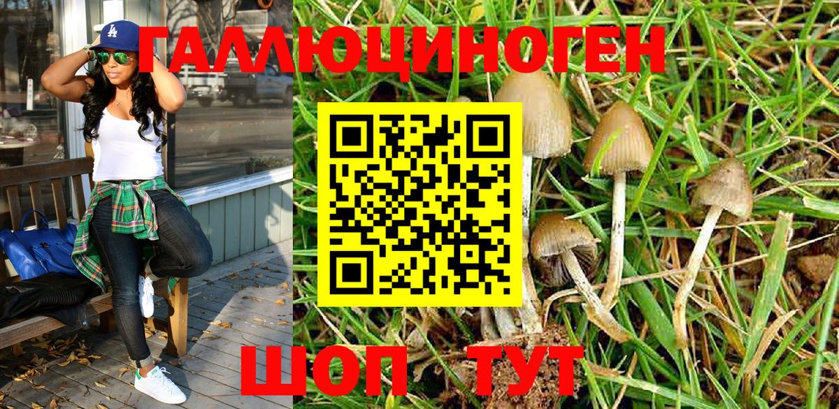 Псилоцибиновые грибы Magic Shrooms Верхний Уфалей