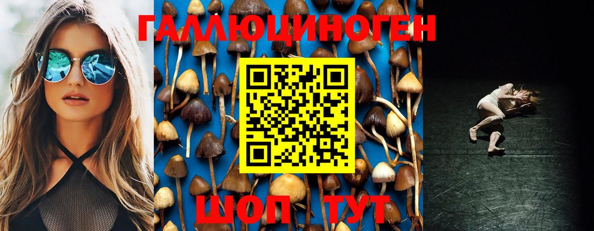 Галлюциногенные грибы Magic Shrooms  Вход с VPN  Верхний Уфалей  Галлюциногенные грибы GOLDEN TEACHER 