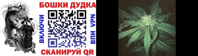 дарнет шоп  Верхний Уфалей  Каннабис Amnesia 